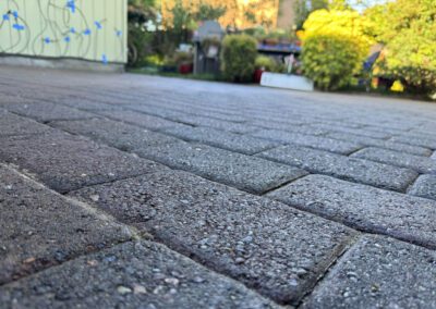 Close-up of a paved surface with blurred garden background.